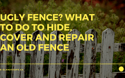 Hide That Ugly Fence