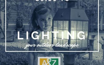 Best Ways to Light Up Your Ottawa Interlock Walkways