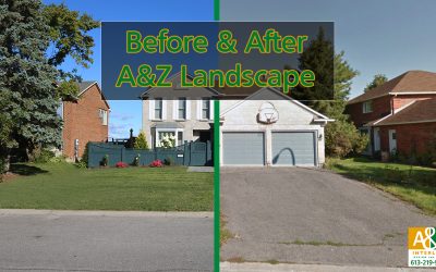 Incredible Orleans Before & After Landscape Transformation