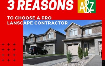 3 Reasons To Work With A Professional Paving Company