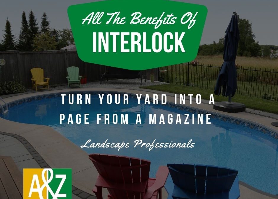 What Are The Benefits Of Interlock Paved Landscaping?