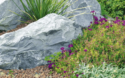 Hardscape vs Softscape: what’s the difference?